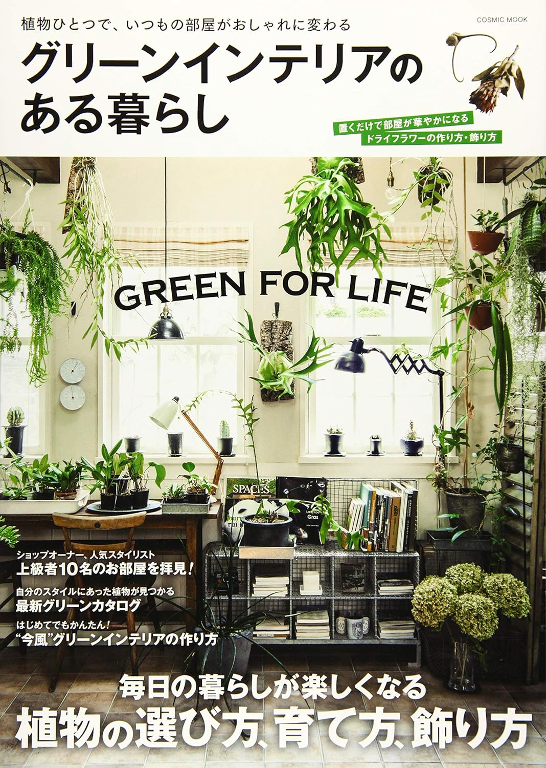画像の説明
